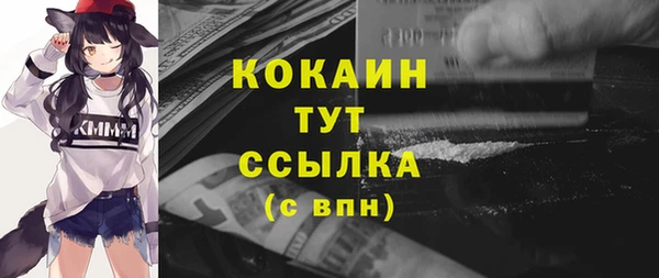 молекула духа Пестово