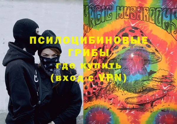 молекула духа Пестово