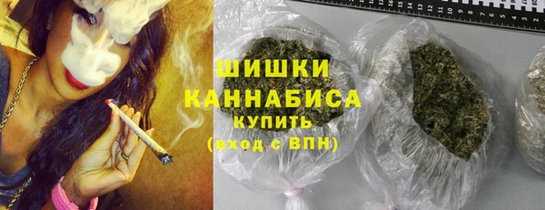 молекула духа Пестово