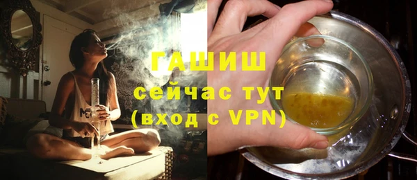 молекула духа Пестово