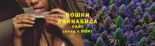 молекула духа Пестово