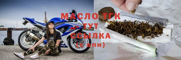 молекула духа Пестово
