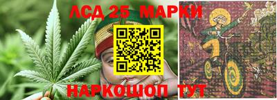 МДПВ Камышлов