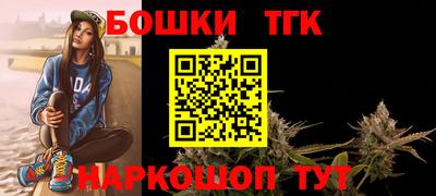 МДПВ Камышлов
