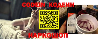 МДПВ Камышлов
