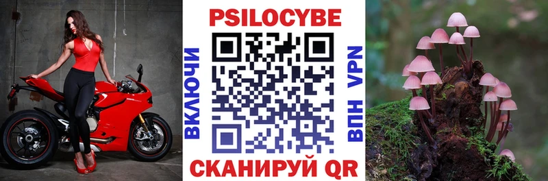 как найти закладки  Саров  Галлюциногенные грибы мицелий 