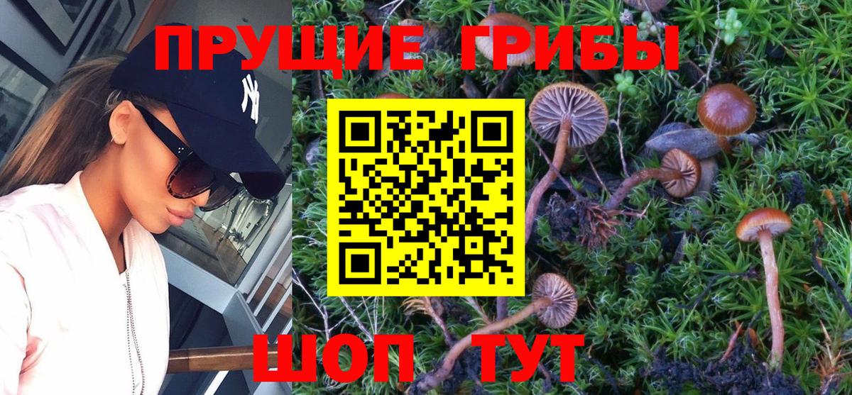 Саров  Галлюциногенные грибы GOLDEN TEACHER  Вход с VPN 