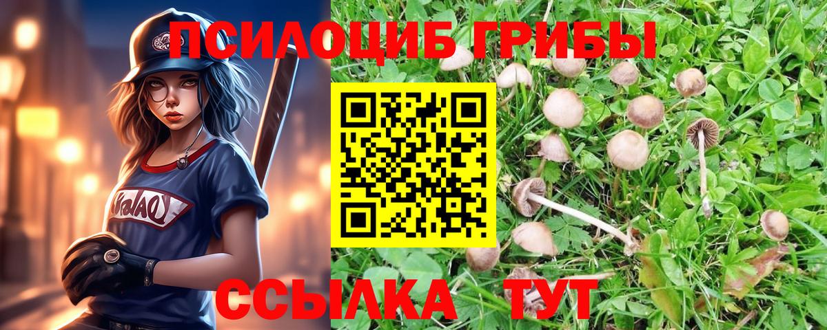 Галлюциногенные грибы MAGIC MUSHROOMS Саров