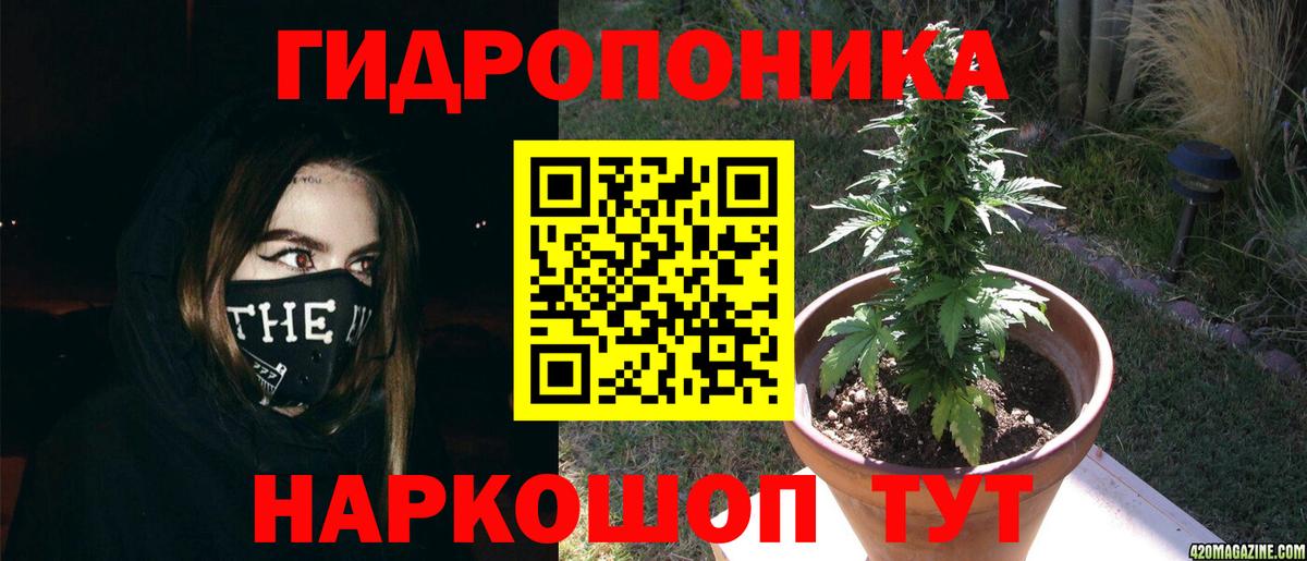 Саров  Канабис сатива  Бошки Шишки LSD WEED  Вход с VPN 